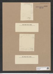 Podosira ? sp. (de-Toni-Nr.: Genus 217 ?) Zeichnungen Sammlung Grunow Nr. 9418 (NHMW-BOT-W0379265)